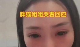 胖猫事件爆料博主视频,揭秘网络爆料的背后真相