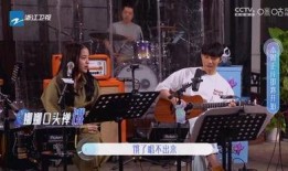 徐峥爆料游轮视频大全,揭秘明星奢华度假生活